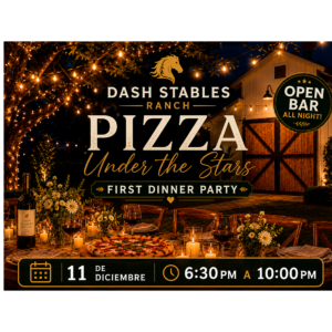 DINNER PARTY  PIZZA UNDER DE ESTAR